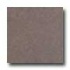 Armstrong Mode - Stone 16 X 16 Dakota Sandstone Mocha Vinyl Floo