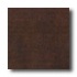 Anderson Rhino Northern Maple Plank 5 Truffle Hardwood Flooring