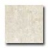 Portobello Marmi 24 X 24 Perlino Bianco Tile & Stone