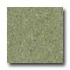 Mannington Brushwork Cinnabar Green Vinyl Flooring