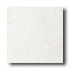 Daltile Devonshire 12 X 12 White Tile & Stone