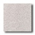American Olean Terra Granite 12 X 12 Speckled Linen Tile & Stone