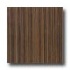 Armstrong Mode - Global Collection Woodwarp Dark Wood Vinyl Floo