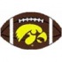 Logo Rugs Iowa University Iowa Football 15" X 24" Area Rug