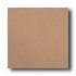 American Olean Quarry Naturals Abrasive 8 X 8 Desert Tile & Ston