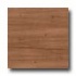 Earth Werks Montana Plank Gmp9916 Vinyl Flooring