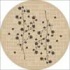 Milliken Nickita 8 Round Opal Area Rugs