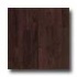 Hartco Metro Classics 5 Molasses Hardwood Flooring