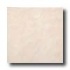 Armstrong Marble Silk 13 X 13 Marble Silk Tile & Stone