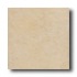 New World Chicago 12 X 12 Sand Tile  and  Stone