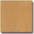 Mannington Vermont Maple Plank Camel Hardwood Flooring