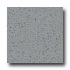 Armstrong Excelon Stonetex Premium Granite Gray Vinyl Flooring