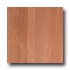 Somerset Color Collections Plank 4 Solid Seashell Hardwood Floor