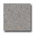 Santa Regina Architectural 24 X 24 (natural) Buff Terrazzo Tile
