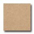 Armstrong Cushionstep Best - Universal Sahara Vinyl Flooring