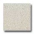 Santa Regina Designer 16 X 16 (antique) Persian Cream Terrazzo T