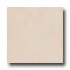 Bella Cera Fuste 18 X 18 Crema Tile & Stone