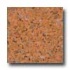 Santa Regina Accent 16 X 16 (polished) Sunflower Terrazzo Tile