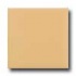 Daltile Liners Rope 1 X 6 Luminary Gold Tile & Stone