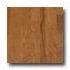 Harris-tarkett Amherst Beveled 5 Vintage Hickory Honeytone Hardw