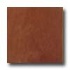 Trb Flooring Company Natures Charm Solid 3 1/4 Brazilian Redwood
