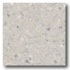 Mannington Brushwork Ecru Vinyl Flooring