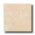 Armstrong Jerusalem Stone 8 X 10 Jerusalem Stone Tile & Stone