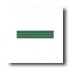American Olean Sizzle Strips 6 X 2 Hunter Green Tile & Stone