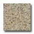 Santa Regina Architectural 24 X 24 (polished) Almond Terrazzo Ti