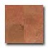 Daltile Travertine Natural Stone Honed 12 X 12 Bandar Red Tile &
