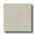 Bella Cera Slate 9 X 13 Bone Tile & Stone