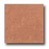Daltile Diamante Unpolished 18 X 18 Rosso Unpolished Tile & Ston