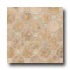 Daltile Salerno Octagon Dot Mosaics Marrone Chiaro Tile & Stone