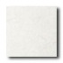 Daltile Devonshire 8 X 8 White Tile & Stone