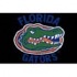 Logo Rugs Florida University Florida Entry Mat 2 X 2 Area Rugs