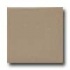 Daltile Modern Dimensions 2 1/8 X 8 1/2 Elemental Tan Matte Tile