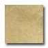 Portobello Pietra 8 X 10 Safari Tile & Stone