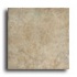 Marca Corona Tam Tam 13 X 13 Forest Tile & Stone