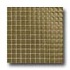 Daltile Maracas Glass Mosaics - Glossy Tea Leaves Tile & Stone