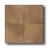 American Olean Calais 19 X 19 Fayette Rouge Tile & Stone