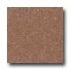 Santa Regina Designer 24 X 24 (polished) Salmon Terrazzo Tile