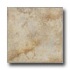 Tesoro Salus 20 X 20 Saturnia Beige Tile & Stone