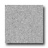 Mannington Biospec Techno Gray Vinyl Flooring
