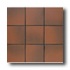 American Olean Quarry Tile Abrasive 6 X 6 Ember Flash Tile & Sto