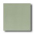 Daltile Designer Colours 12 X 12 Sage Green Tile & Stone