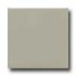 Daltile Modern Dimensions 4 1/4 X 8 1/2 Architectural Gray Tile