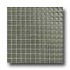 Daltile Maracas Glass Mosaics - Frosted Oak Moss Tile & Stone