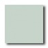 American Olean Satinglo Mosaic Light Aspen Tile & Stone