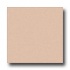 Milliken Harmony 11 X 13 Ecru Area Rugs