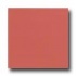 Interceramic Colours 8 X 8 Red Coral Tile & Stone